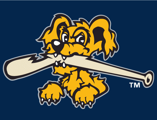 Charleston Riverdogs 2011-2015 Cap Logo v2 iron on heat transfer